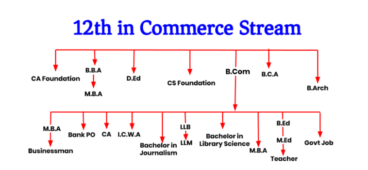 What Can I Do After 12th Commerce